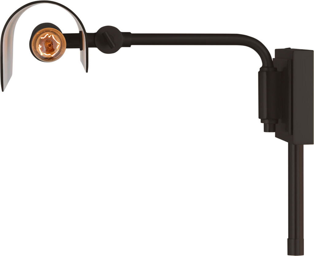 Hull 18" Picture Light Aged Iron