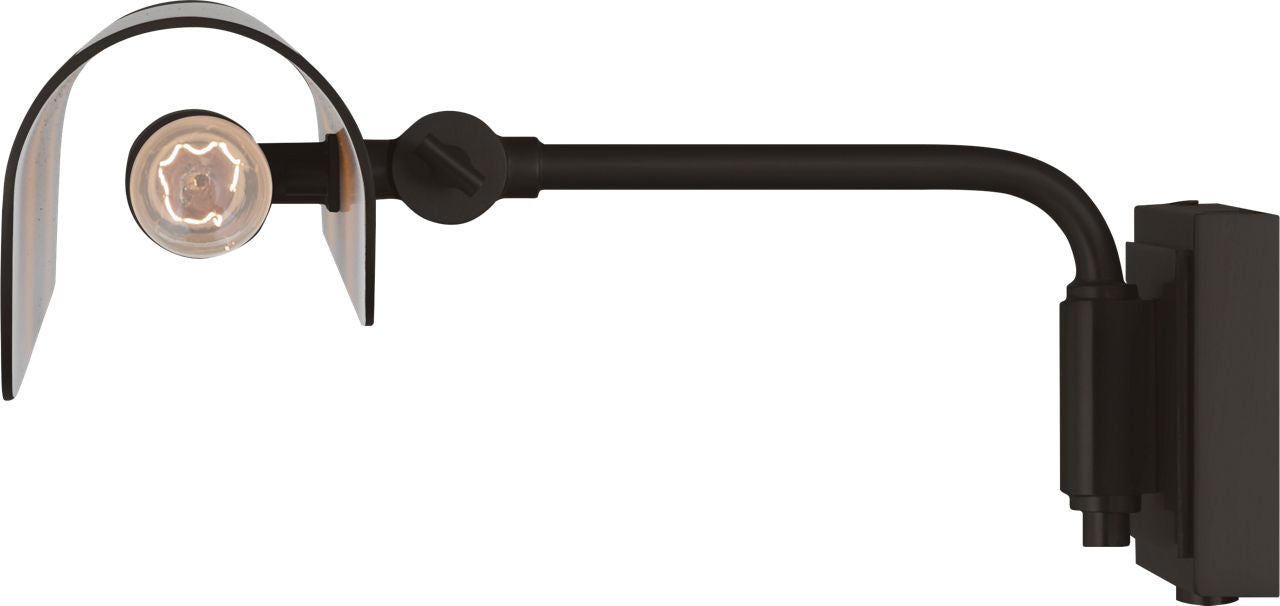 Hull 24" Picture Light Aged Iron