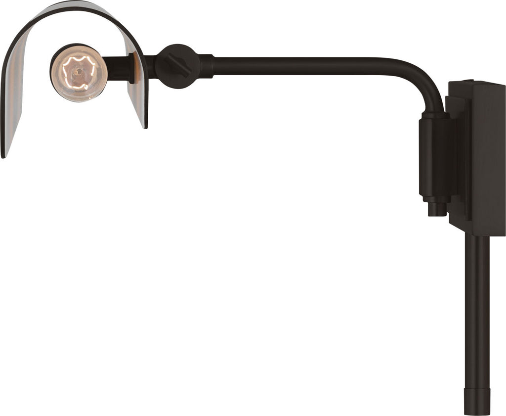 Hull 24" Picture Light Aged Iron