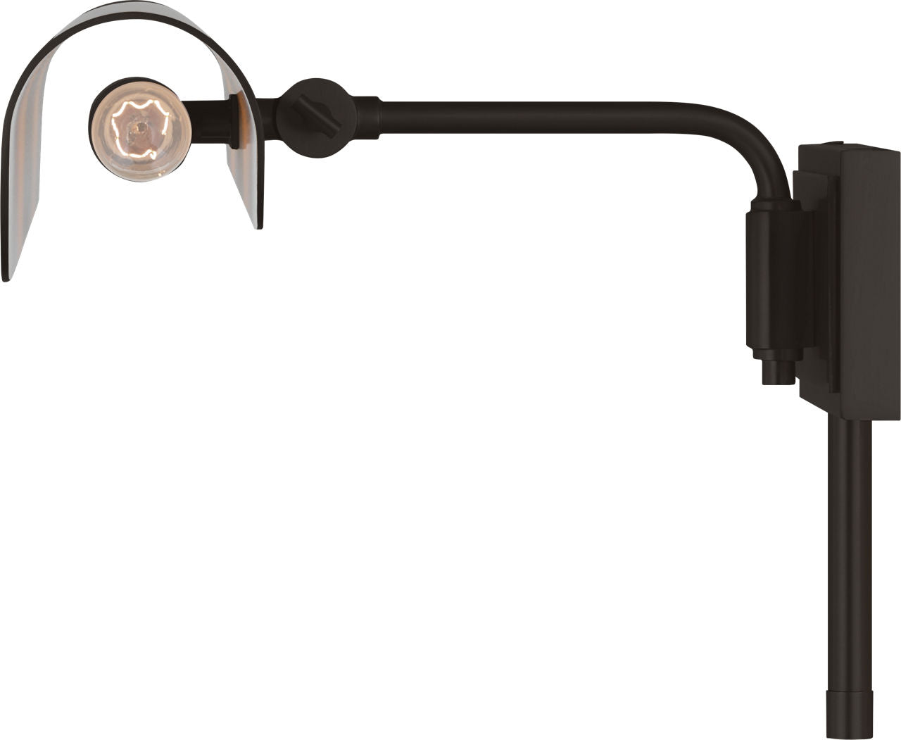 Hull 24" Picture Light Aged Iron
