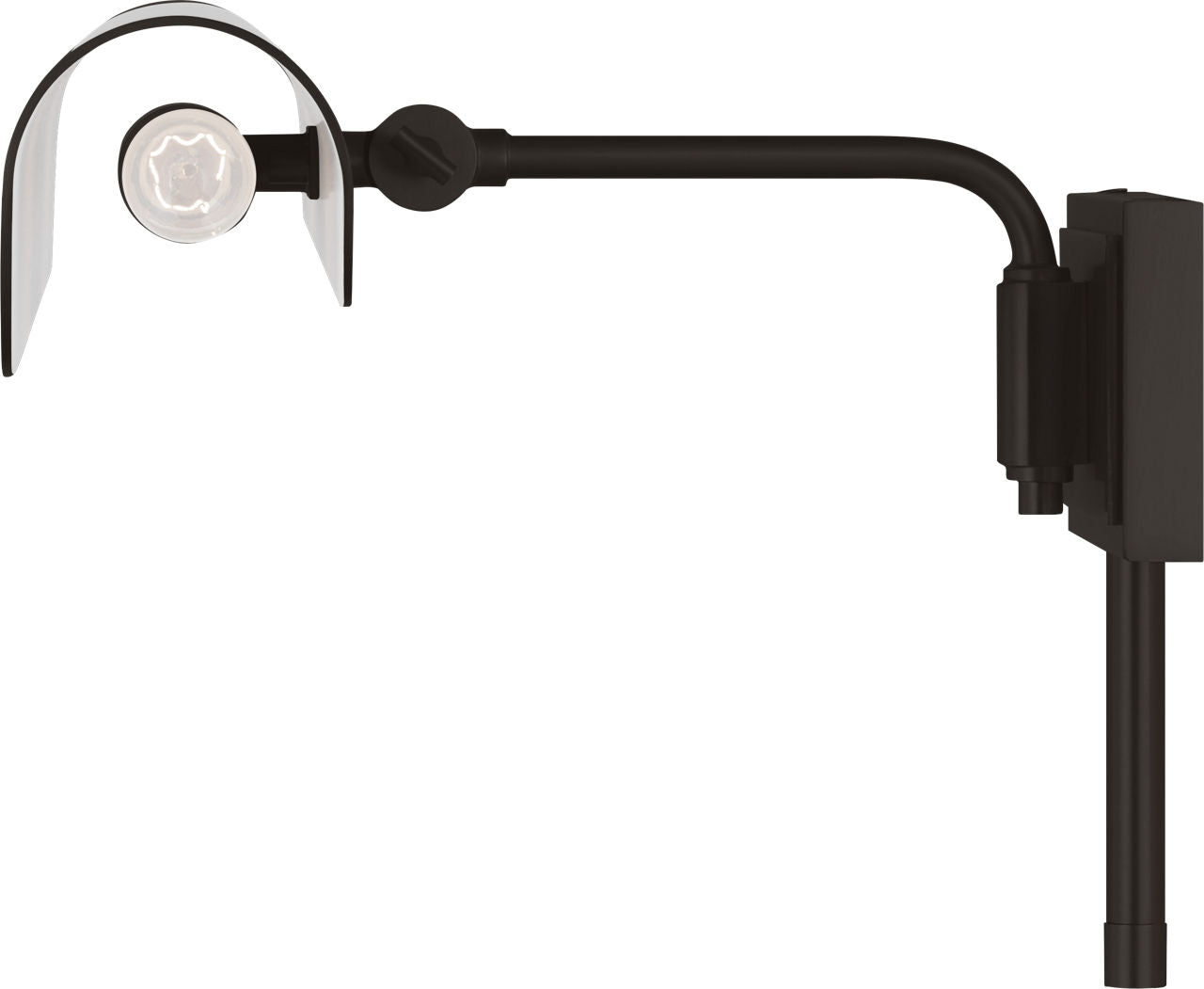 Hull 24" Picture Light Aged Iron