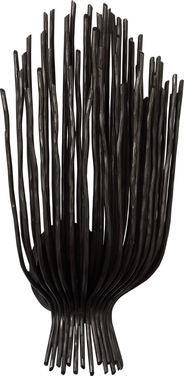 Astra 17" Sculpted Sconce | Aged Iron