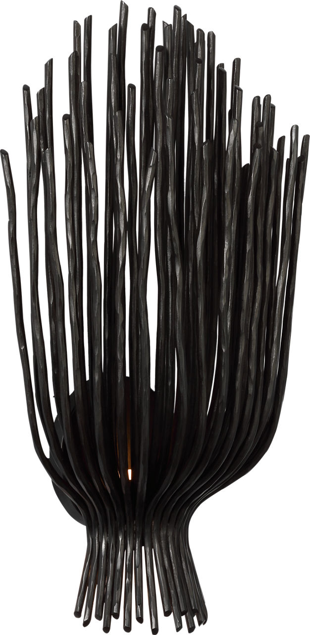 Astra 17" Sculpted Sconce | Aged Iron