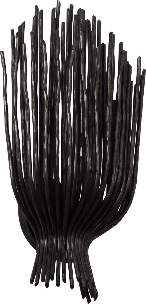 Astra 17" Sculpted Sconce | Aged Iron