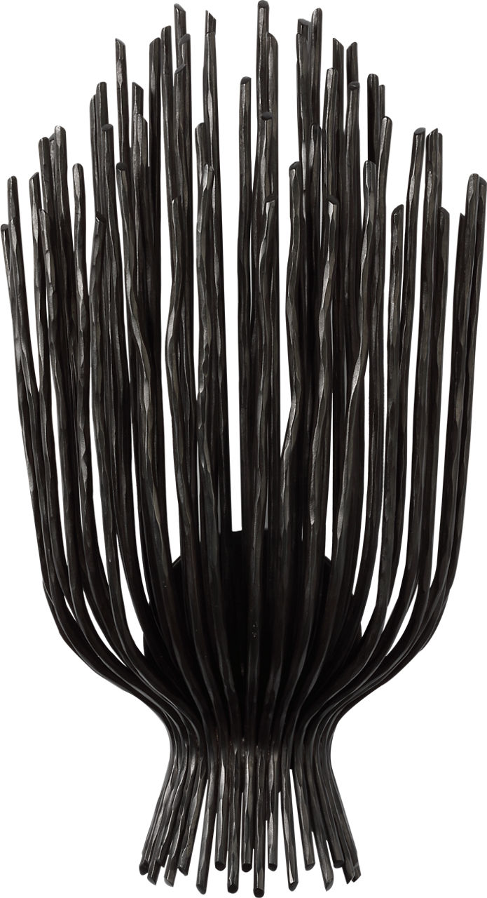 Astra 17" Sculpted Sconce | Aged Iron