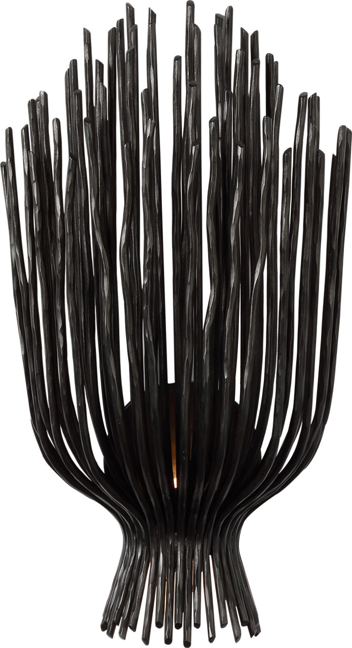 Astra 17" Sculpted Sconce | Aged Iron