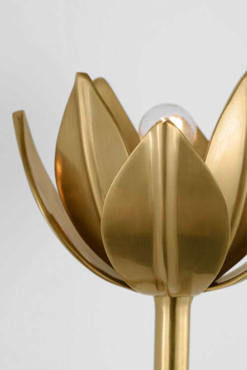 Alberto Medium Sconce | Antique-Burnished Brass