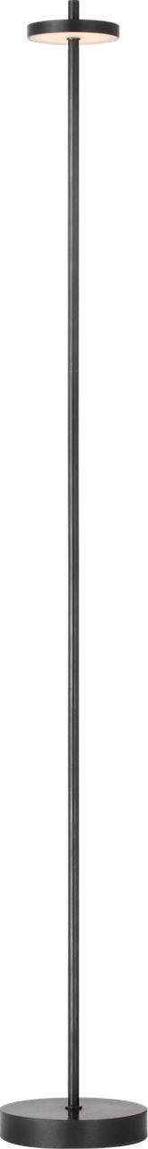 Sene 50" Rechargeable Floor Lamp | Museum Bronze