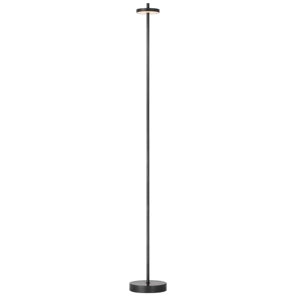 Sene 50" Rechargeable Floor Lamp | Museum Bronze