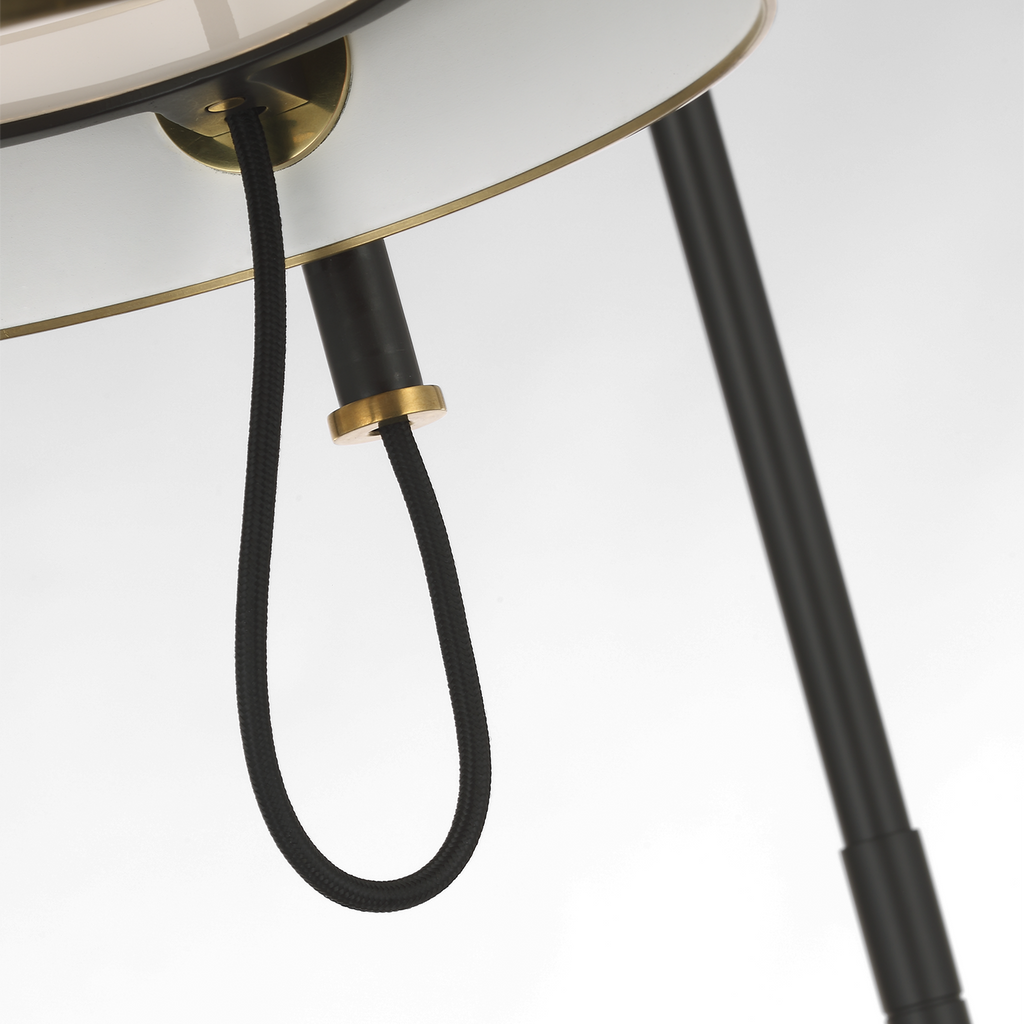 Oso 58" Articulating Reading Floor Lamp | Modern Iron and Hand-Rubbed Antique Brass | Modern Iron Shade