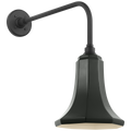 Academy 20" Rex Barn Light | Matte Black | 9.25 | 9.25" Green Savannah Shade