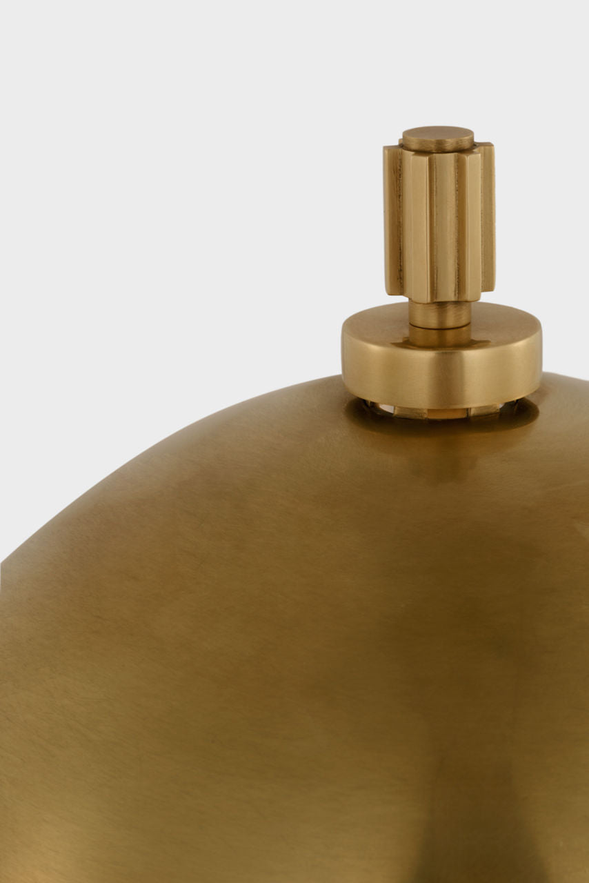 Dally 13" Desk Lamp | Hand-Rubbed Antique Brass