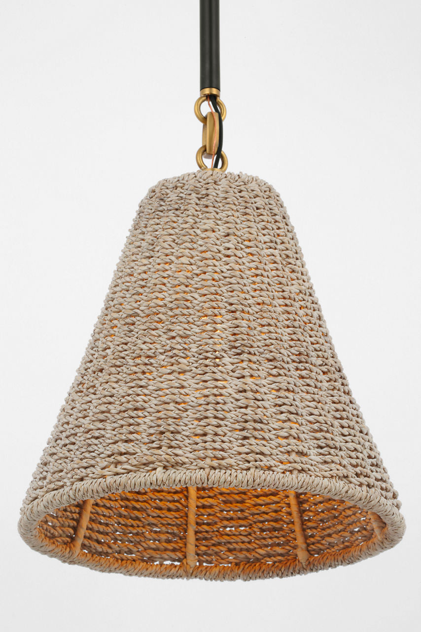 Goodman Petite Hanging Shade | Bronze and Hand-Rubbed Antique Brass | Ash Shade