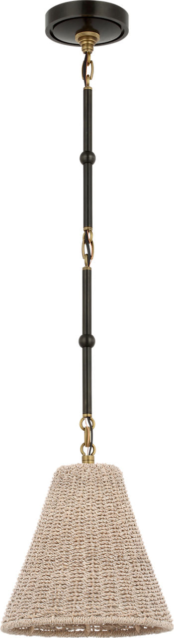 Goodman Petite Hanging Shade | Bronze and Hand-Rubbed Antique Brass | Ash Shade
