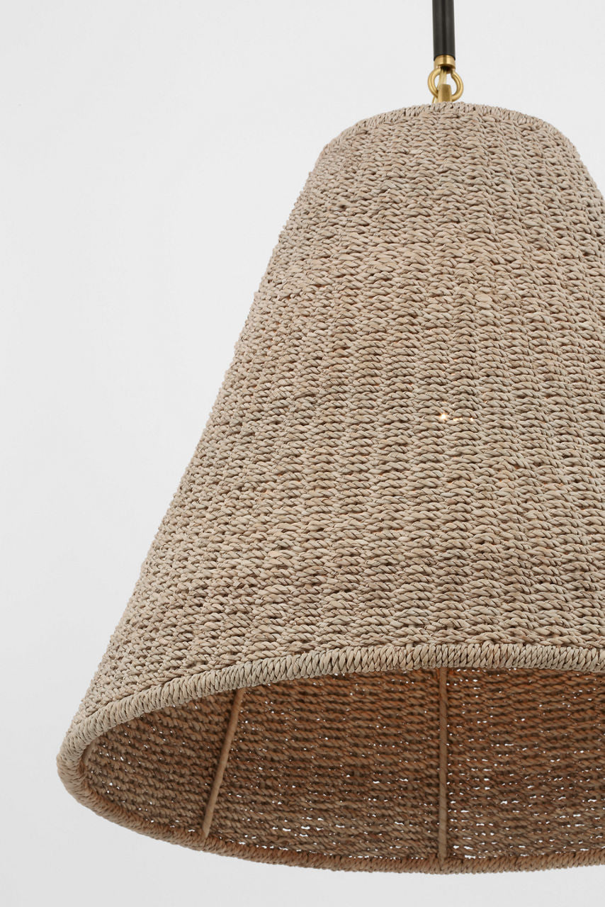 Goodman Medium Hanging Light | Bronze and Hand-Rubbed Antique Brass | Ash Shade