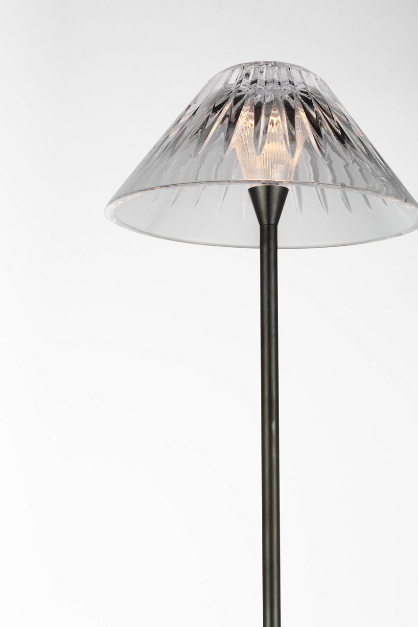 Blaze 55" Floor Lamp | Bronze | Clear Crystal