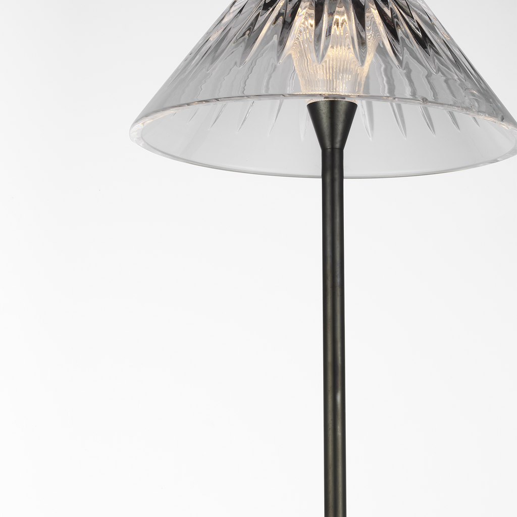 Blaze 55" Floor Lamp | Bronze | Clear Crystal