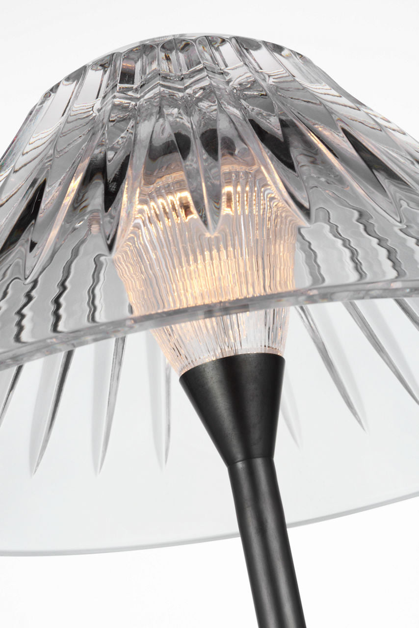 Blaze 55" Floor Lamp | Bronze | Clear Crystal