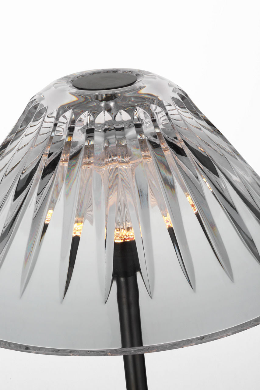 Blaze 55" Floor Lamp | Bronze | Clear Crystal