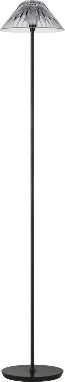 Blaze 55" Floor Lamp | Bronze | Clear Crystal