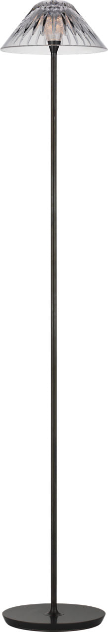 Blaze 55" Floor Lamp | Bronze | Clear Crystal