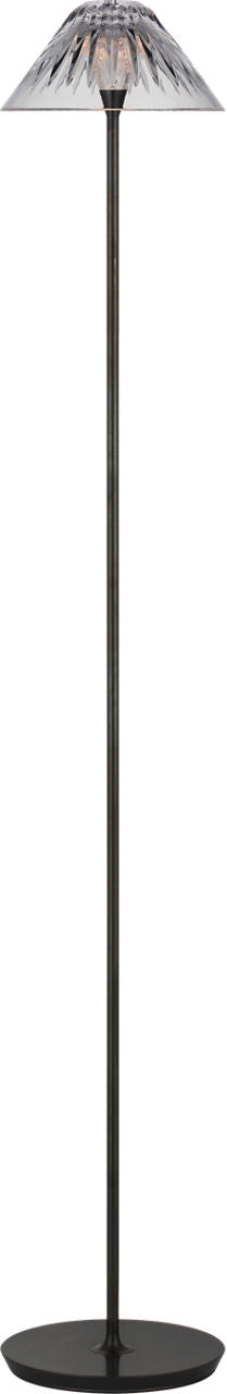 Blaze 55" Floor Lamp | Bronze | Clear Crystal