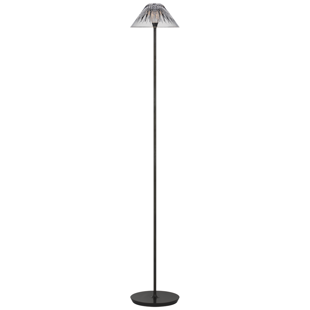 Blaze 55" Floor Lamp | Bronze | Clear Crystal