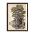 Tree of Life | Medium