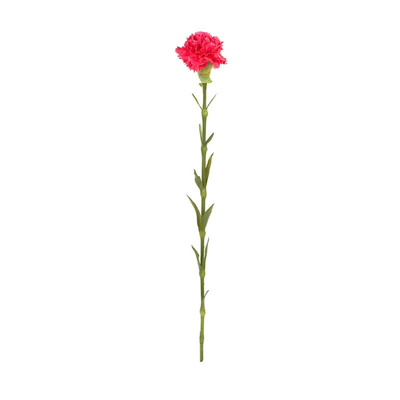 Carnation Stem, 23" L - Pink
