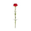 Carnation Stem, 23" L - Red