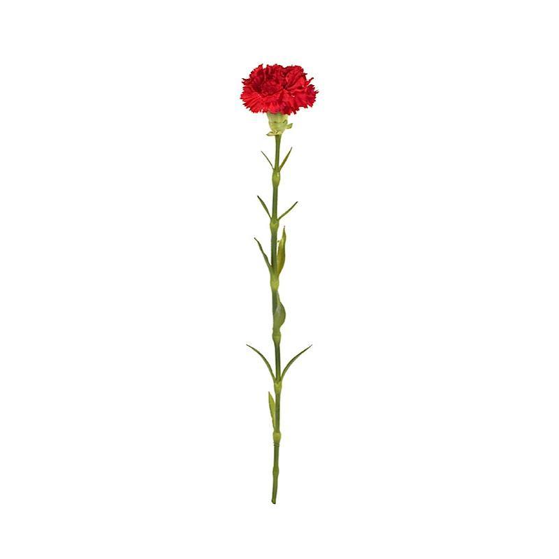 Carnation Stem, 23" L - Red