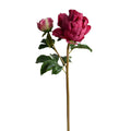 Peony Stem with Bud & Leaves, 26" -Dark fuchsia