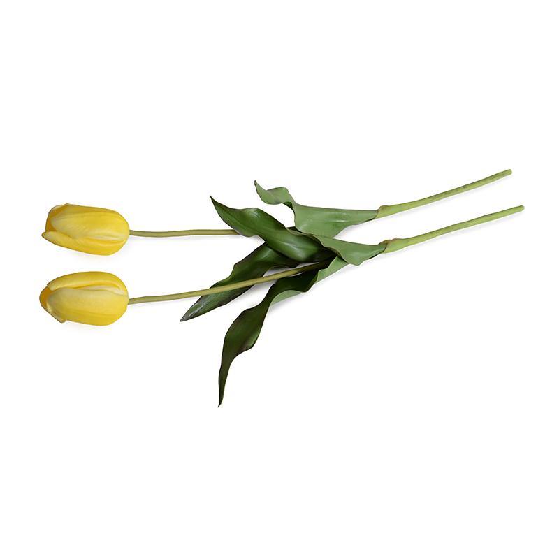 Tulip Stem, French - Yellow