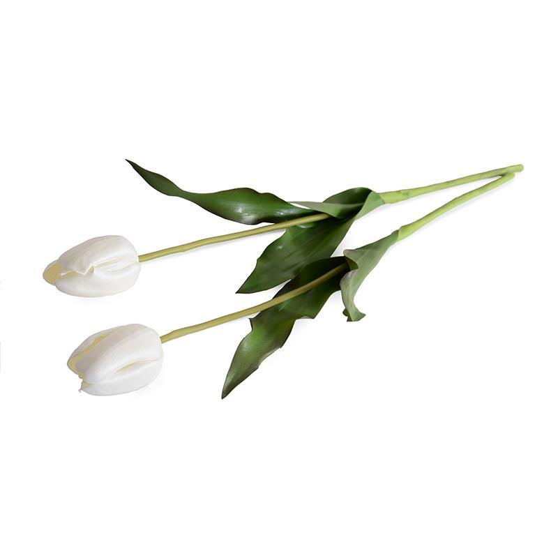 Tulip Stem, French - White