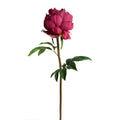 Peony Stem with Leaves, 26" -Dark fuchsia