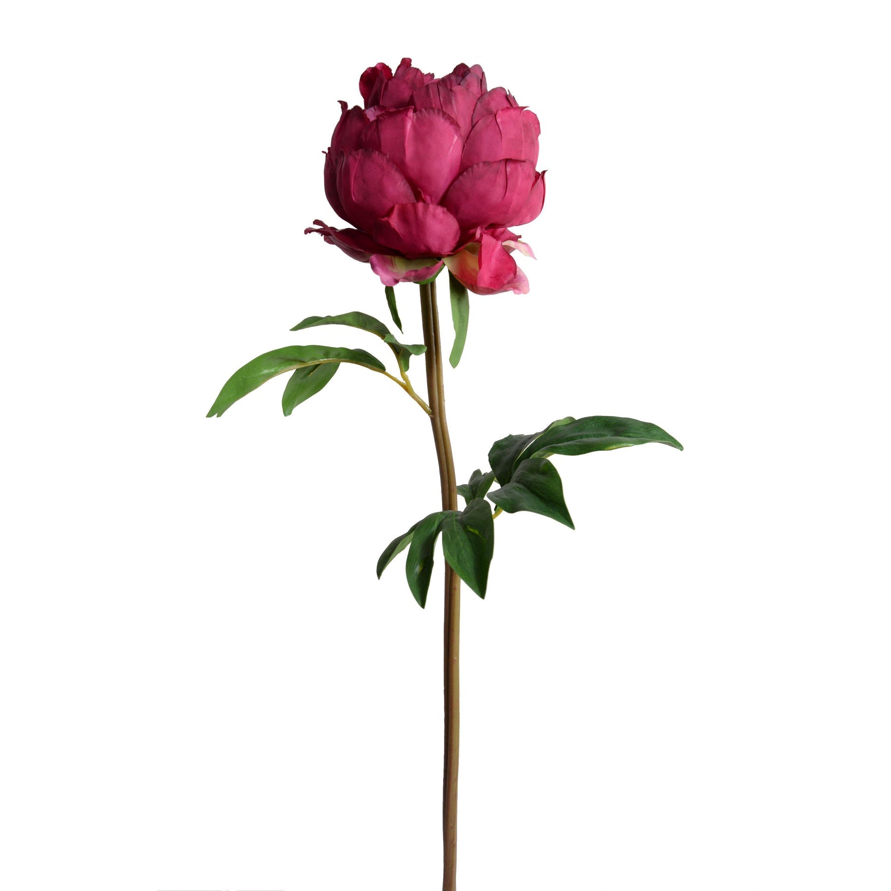 Peony Stem with Leaves, 26" -Dark fuchsia