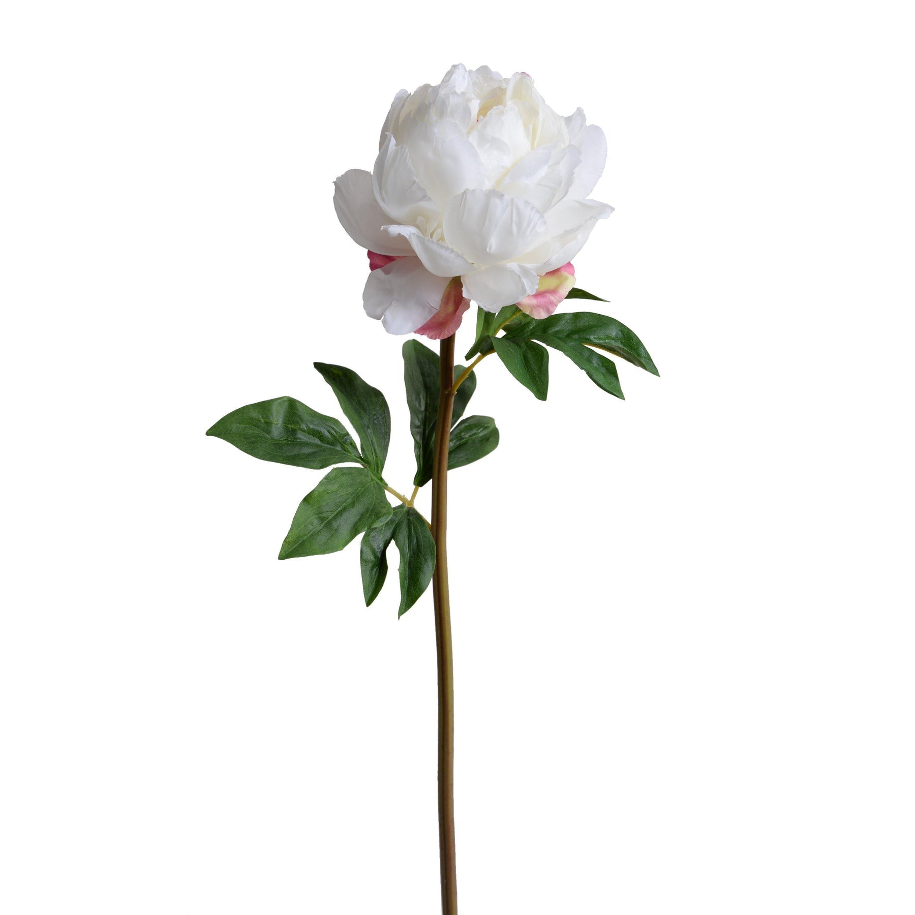 Peony Stem with Leaves, 26" -White