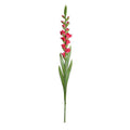 Gladiolus Flower Stem, 48" L - Fuchsia