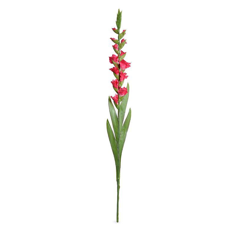 Gladiolus Flower Stem, 48" L - Fuchsia