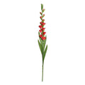 Gladiolus Flower Stem, 48" L - Red