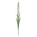 Gladiolus Flower Stem, 48" L - White