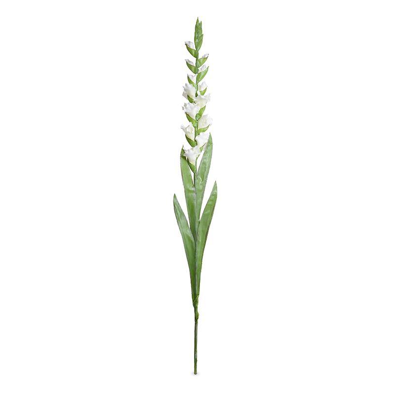 Gladiolus Flower Stem, 48" L - White