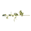 Holly Branch, 30" - Variegated