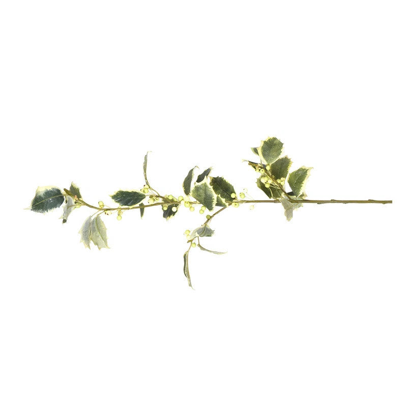 Holly Branch, 30" - Variegated