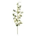 Holly Branch, 36" - Variegated