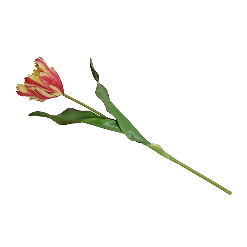 Tulip Stem, Parrot, 18"L - Yellow-orange