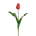 Tulip Stem, Dutch, 18"L - Orange Red