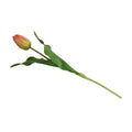 Tulip Stem, Dutch, 18"L - Orange-green