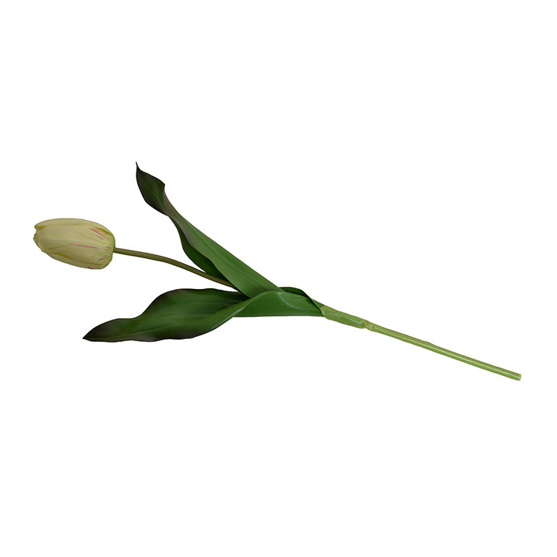 Tulip Stem, Dutch, 18"L - Yellow-red