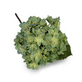 Hydrangea Flower Stem, 18"L - Blue-green